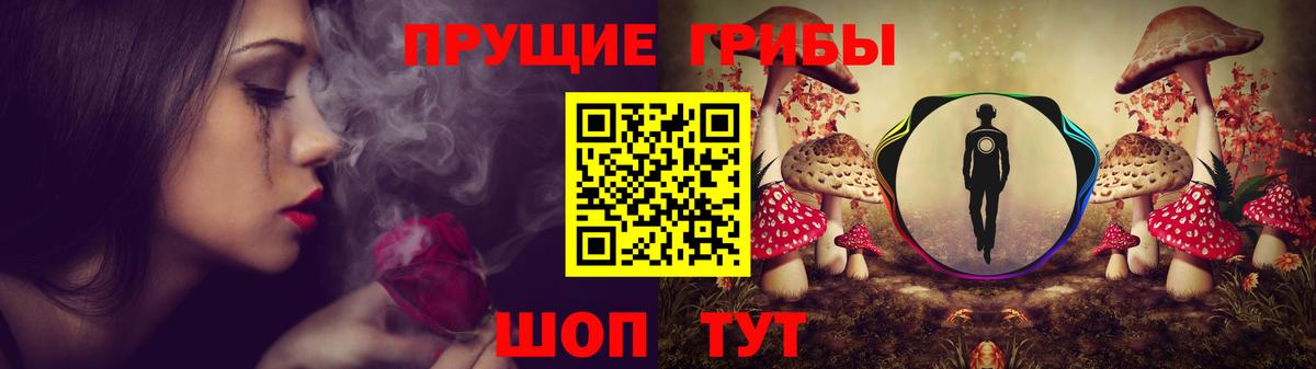 Галлюциногенные грибы Cubensis  Вход с VPN  Долгопрудный 
